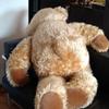 [USED] Giant teddy bear plush toy