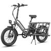 Fafrees FF20 CUV - Vélo cargo électrique - 250 W - 48 V - 24 Ah - Vitesse maximale 25 km/h - Gris - Avec porte-bagages arrière