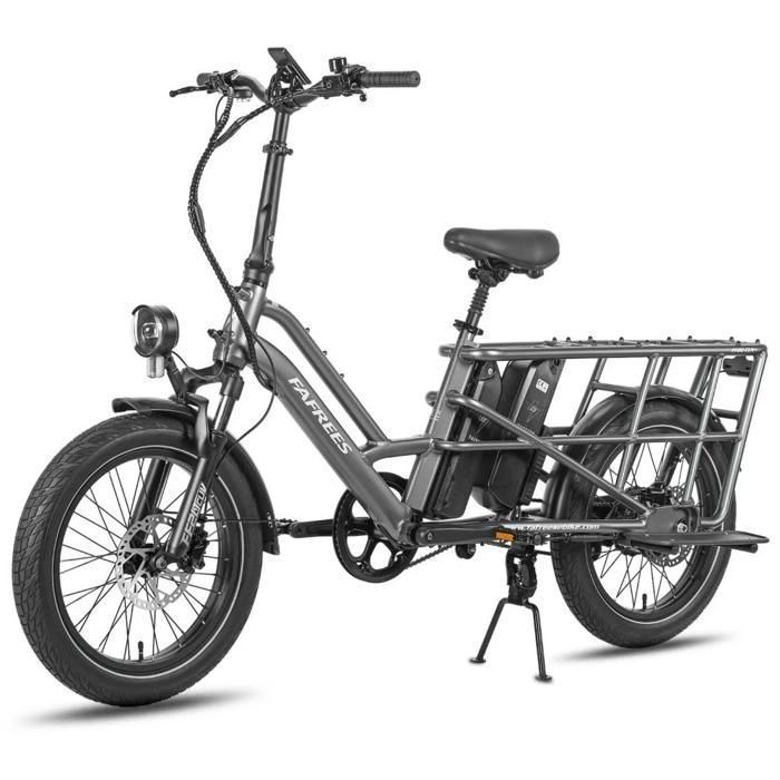Fafrees FF20 CUV - Vélo cargo électrique - 250 W - 48 V - 24 Ah - Vitesse maximale 25 km/h - Gris - Avec porte-bagages arrière