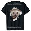 Funny Cute Hedgehog Art Pet Lover T Shirts Tee Tops Round Neck Short-Sleeve Fashion Tshirt Clothing Casual Basic T-shirts