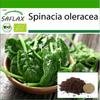 Органический - Шпинат - Матадор - 300 семян - С горшечным субстратом для лучшего выращивания - Spinacia oleracea