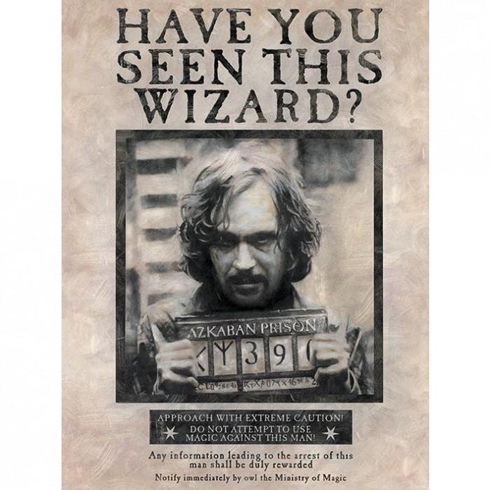 HARRY POTTER Печать на холсте Wanted Sirius Black