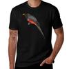 Elegant Trogon Color Design Tshirt Casual Minimalist Short Sleeve Top