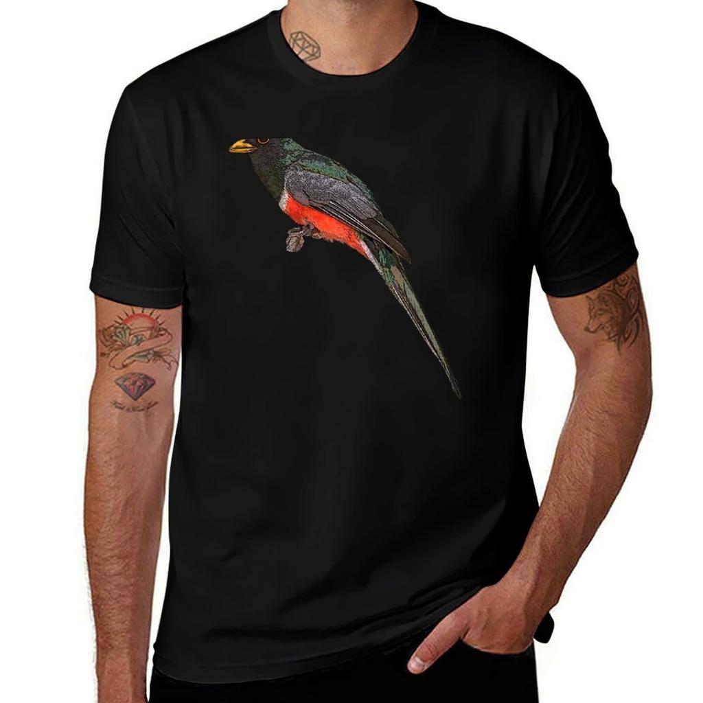 Elegant Trogon Color Design Tshirt Casual Minimalist Short Sleeve Top