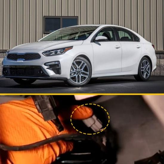 Пара передних указателей поворота LH патрон RH Для -21 Forte Kia 92164-M7000 92164M7000