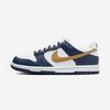 Nike Dunk Low Boy класс Fb9109 111