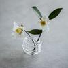 Transparent Glass Ball Vase Zen-Inspired Design Hydroponic Flower Vase  Flower Arrangement