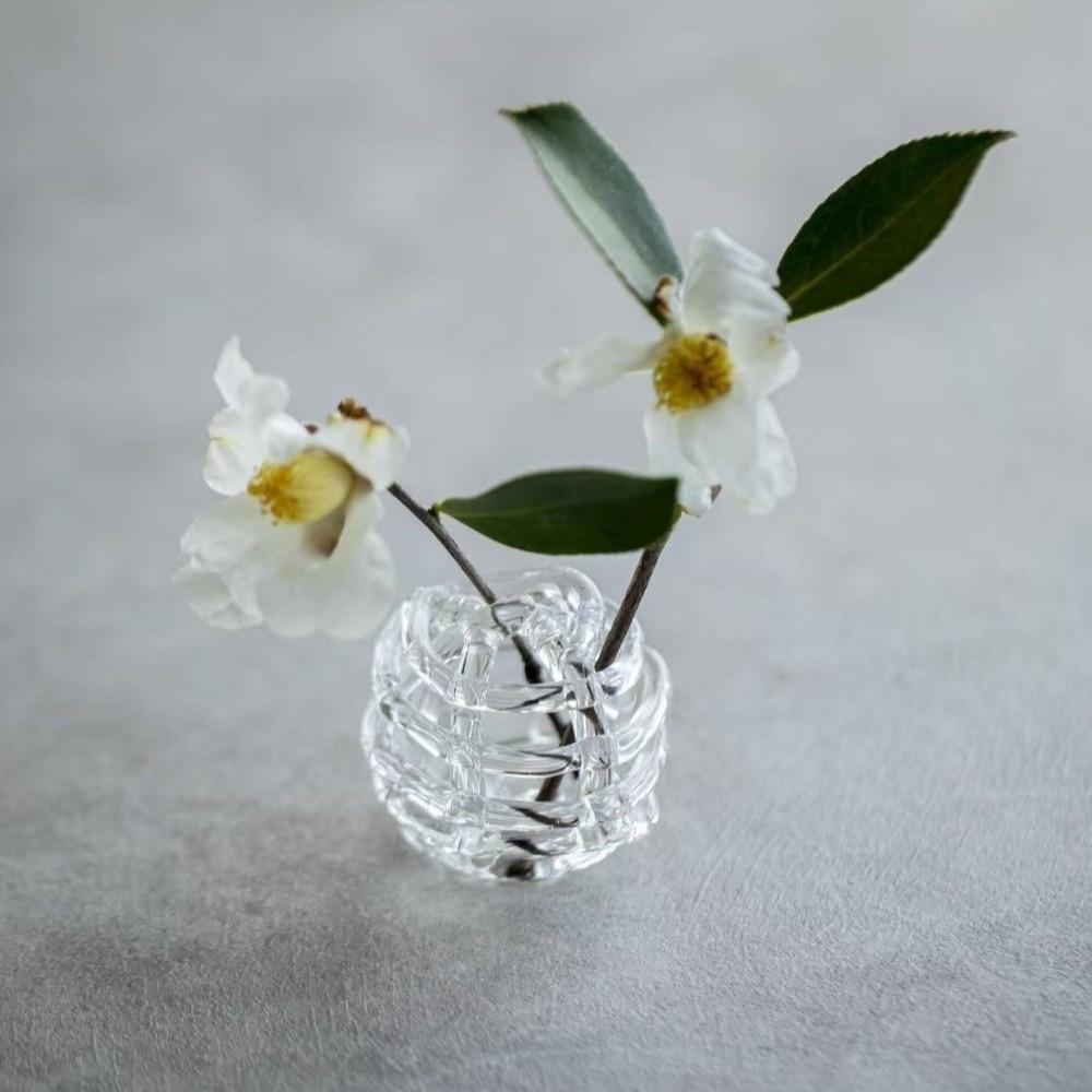 Transparent Glass Ball Vase Zen-Inspired Design Hydroponic Flower Vase  Flower Arrangement