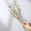 Wabi-Sabi Style Dried Flower Vase with Natural Reeds, Cattails, and Wheat (30-40cm)