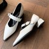 Fashion Metal One-strap Thick-heeled Shoes Autumn New Style Pointed Shallow Mouth Non-slip Wear-resistant Mid-heel Shoes