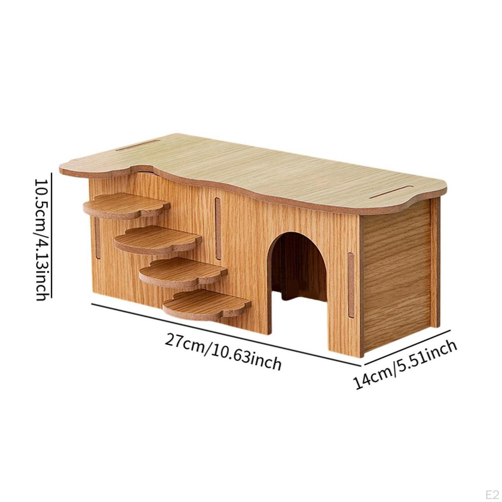 Hamster Habitat with Climbing Structure for Small Animals