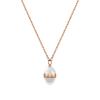 Daniel Wellington Fashionable, versatile, light luxury, texture, simple white, high-end, clavicle chain, necklace, women's style DW00400157-1
