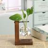 Creative Green Plants Wooden Frame Glass Vase Hydroponic Container Desktop Office Living Room Decoration