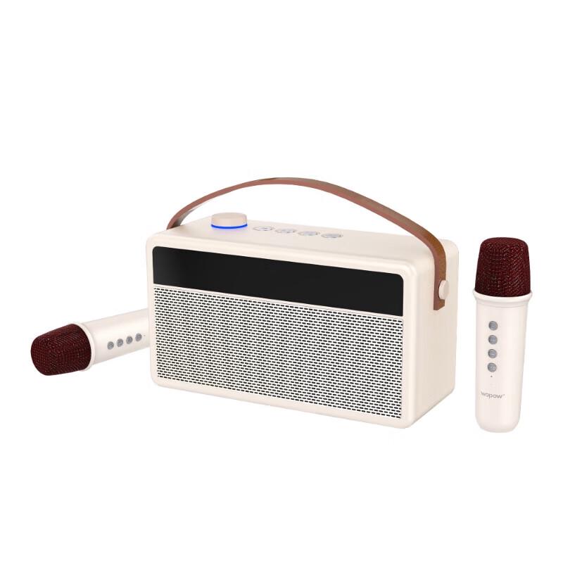 WOPOW AP09 Portable K Song Bluetooth Speaker with Dual Microphones