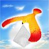 Magic Balancing Bird Science Desk Toy Children Learning Gift