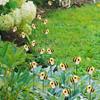 10Pcs Bee Garden Stakes Decor, Metal Yard Art Stakes, Front Yard Art Stick Floral Picks Bumble Bees Garden Stakes Outdoor Lawn Pathway Patio Plant Pot