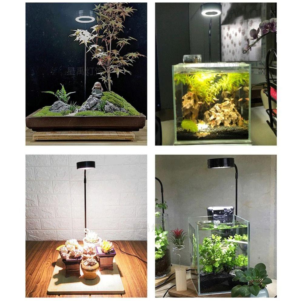 with Wood Board Aquarium Plant Fill Lamp 10W Indoor LED Growing Light LED Aquarium Light  Fish Tank