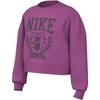 Nike Спортивная толстовка Алхимия Порошок Детская Возраст 3-7 лет FZ4722-605