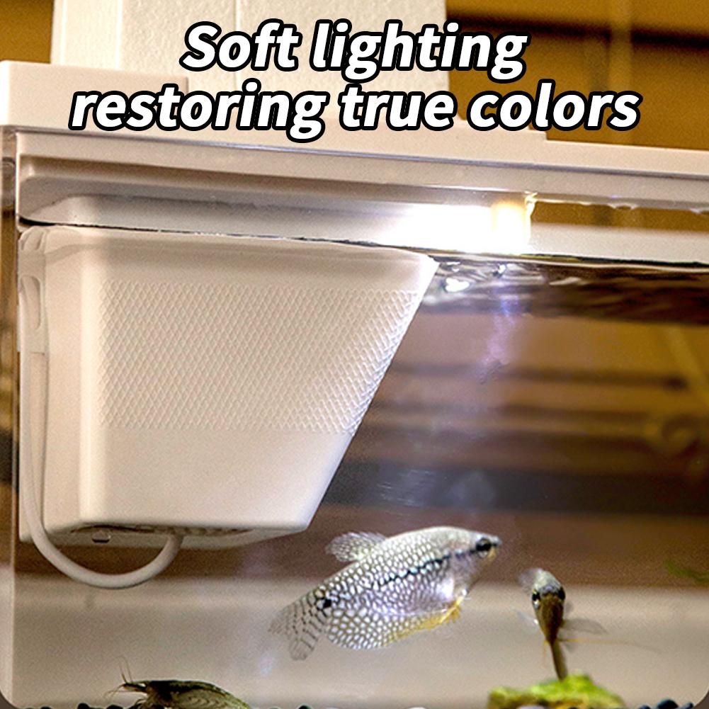 Fish Tiny Fish Tank Office Small Betta Aquarium Light With Filter Micro Landscape Fish Tank Office Desktop Home Ornaments