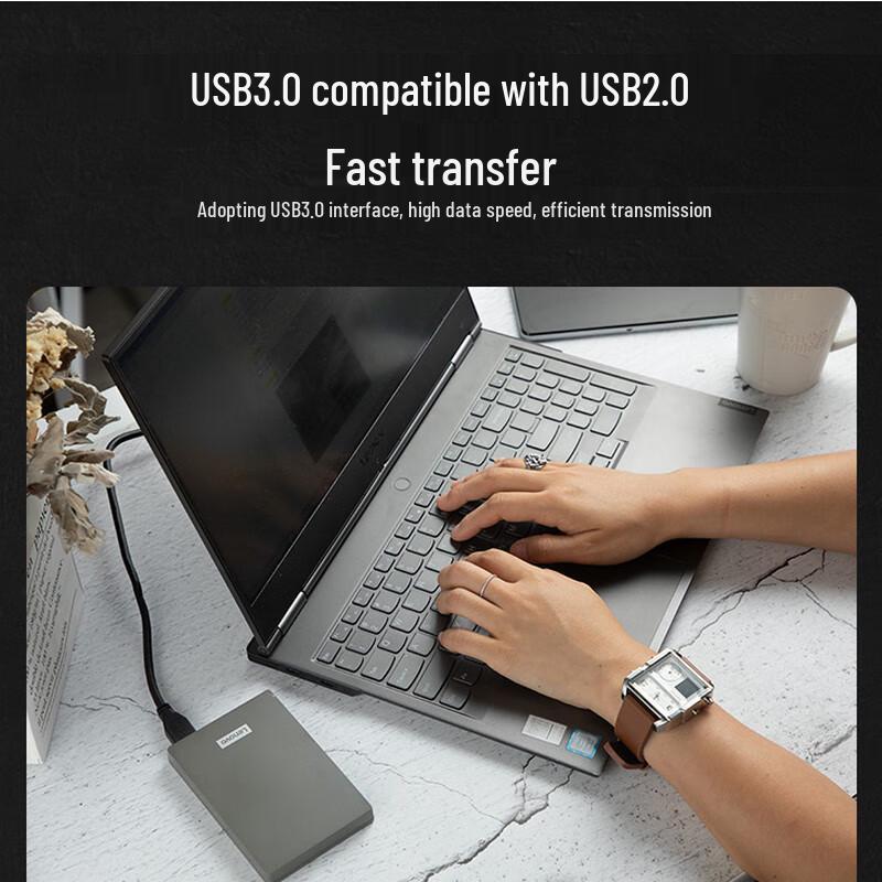 Lenovo F309 Portable External Hard Drive