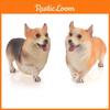 Реалистичная фигурка собаки корги, ПВХ, статичная модель, игрушка для любителей животных и коллекционеров
