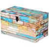 Vintage Style Storage Trunk Made of Solid Reclaimed Wood