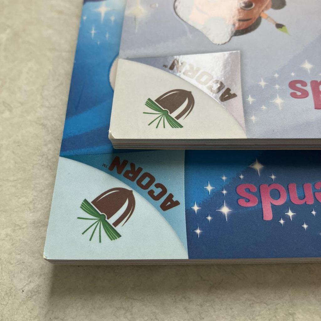 [USED] Fairylight Friends 2-book set chapter book