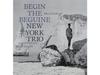 [CD] Begin The Beguine Paper Sleeve New York Trio Jay Leonheart VHCD-78027