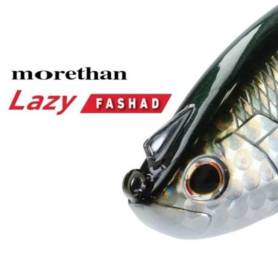 Daiwa Seabass Lure Morethan Rage Shad Various Types