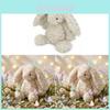 Jc Plush Bunny Toy Childrens Gift Soft Pp Cotton Stuffed Animal For Kids