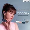 Sony WF-C710N Полностью беспроводные наушники с шумоподавлением