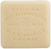 Santa Maria Novella Fiordilis Soap 100g [Product]
