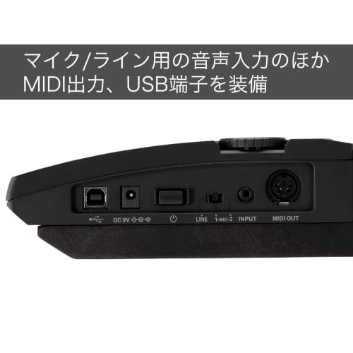 KORG RK-100S 2BK Translucent Black Battery-Powered Keytar Synthesizer Stage Keyboard