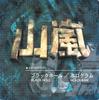7-дюймовая пластинка YAMAARASHI Black Hole Голограмма MFKA1009 SWEET HONEY 2000 Япония Японский Поп-Рок Б/у
