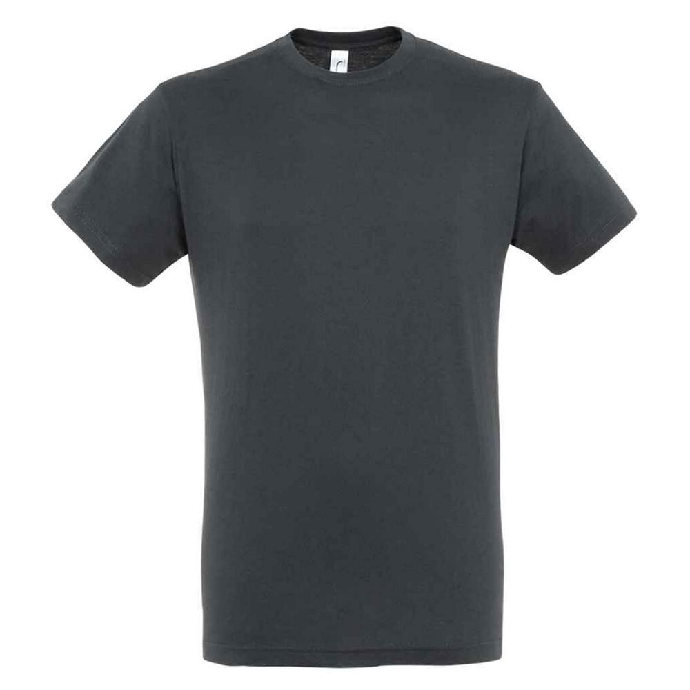 Unisex Adult Regent T-Shirt