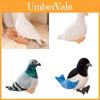 Cute Pigeon And Magpie Plush Toys, Filled With High-quality Pp Cotton, Great For Kids And Collectors