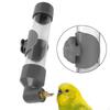 Automatic Water Feeder for Birds Bird Dispenser Drinking Bottle Budgies