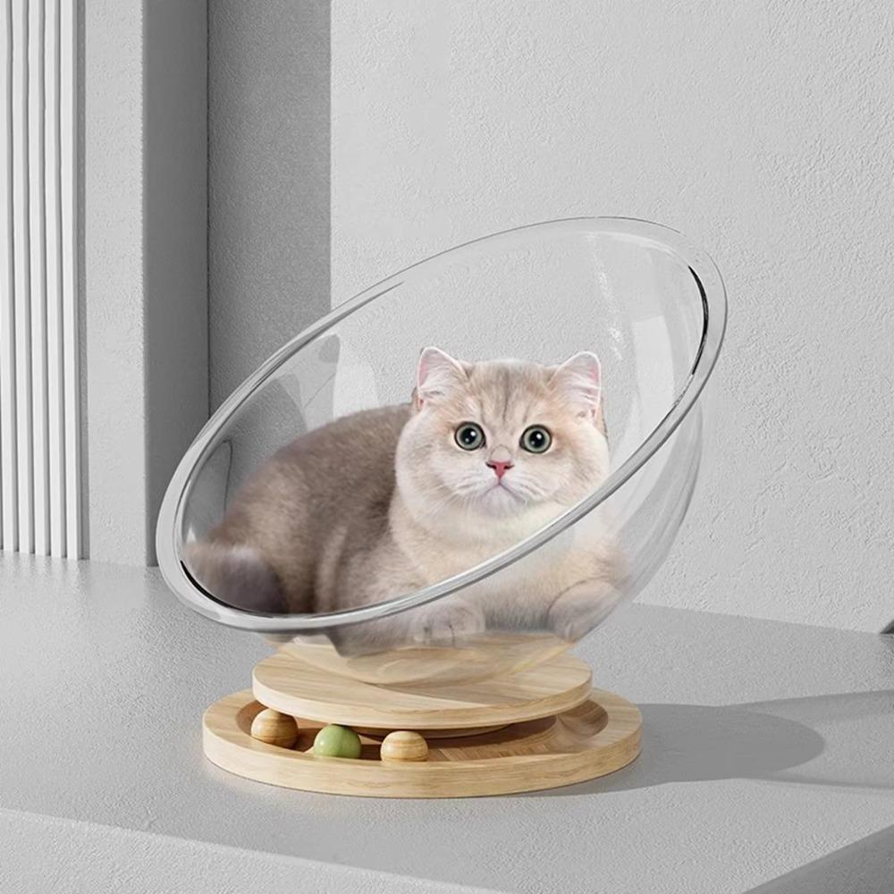 Transparnt Space Capsule Cat Bed Round Cat Toys Good Load Bearing Cat Sleeping Nest Kitten