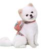 Dog Training Backpack Cute Saddles Bag and Leash for Traveling Travel Camping Camping Dog Saddles Bag Supplies