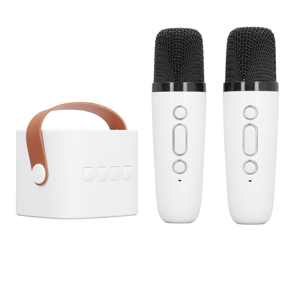 Детская караоке-машина Портативная Универсальная Долговечная Двойной микрофон Bluetooth-динамик для вечеринки