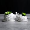 Сочный керамический цветочный горшок, Креативный цветочный горшок для садоводства с поддоном, Корейские керамические поделки в горшках для офисного стола