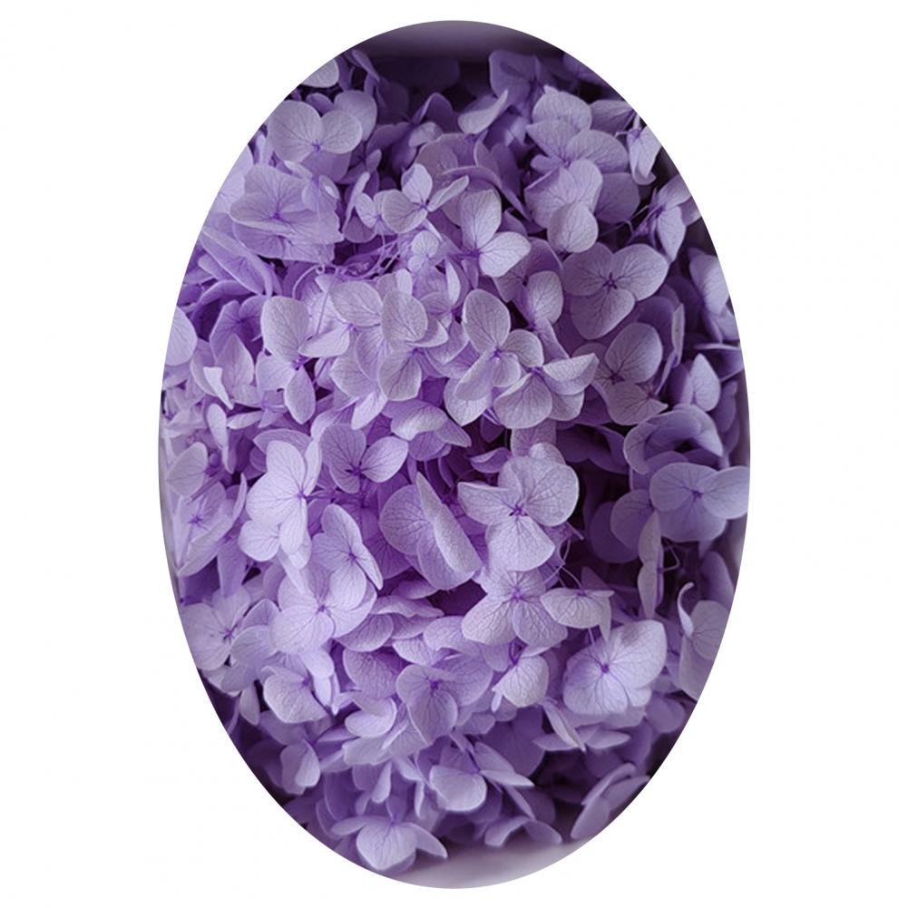 1 коробка цветных сухоцветов натуральные реалистичные головки гортензии своими руками натуральные свежие стабилизированные цветы гортензия свадебные сувениры