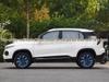 Декоративная стальная колпак ступицы колеса 16" для Venucia D60/D60EV