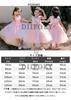 Baby Shrine Visit Baby Commemorative Photo Ceremony Wedding Baby Shower Kids Kindergarten Entrance Ceremony Formal Gift for Birthday [DiiFoky] Dress,