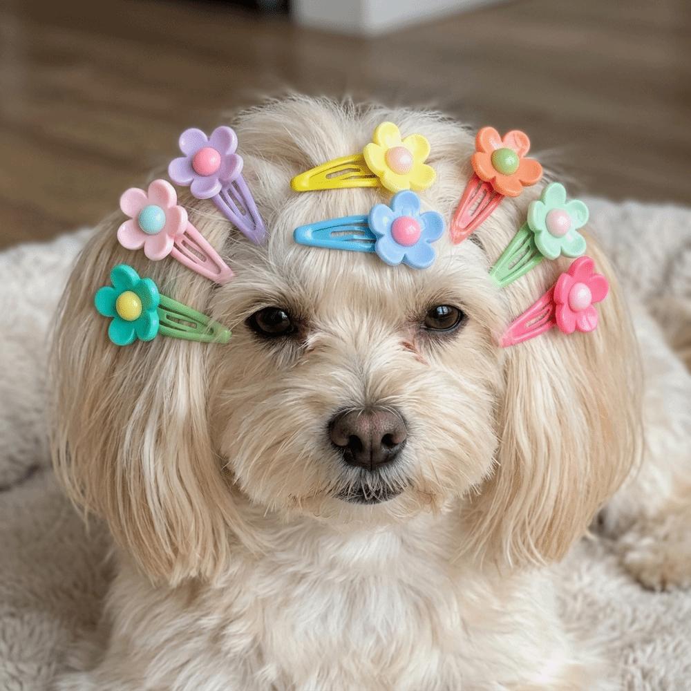 32pcs 3.5CM Size Pet Hair Clip Sunflower Shape Pet BB Clip Dog Hair Accessory Dog Grooming