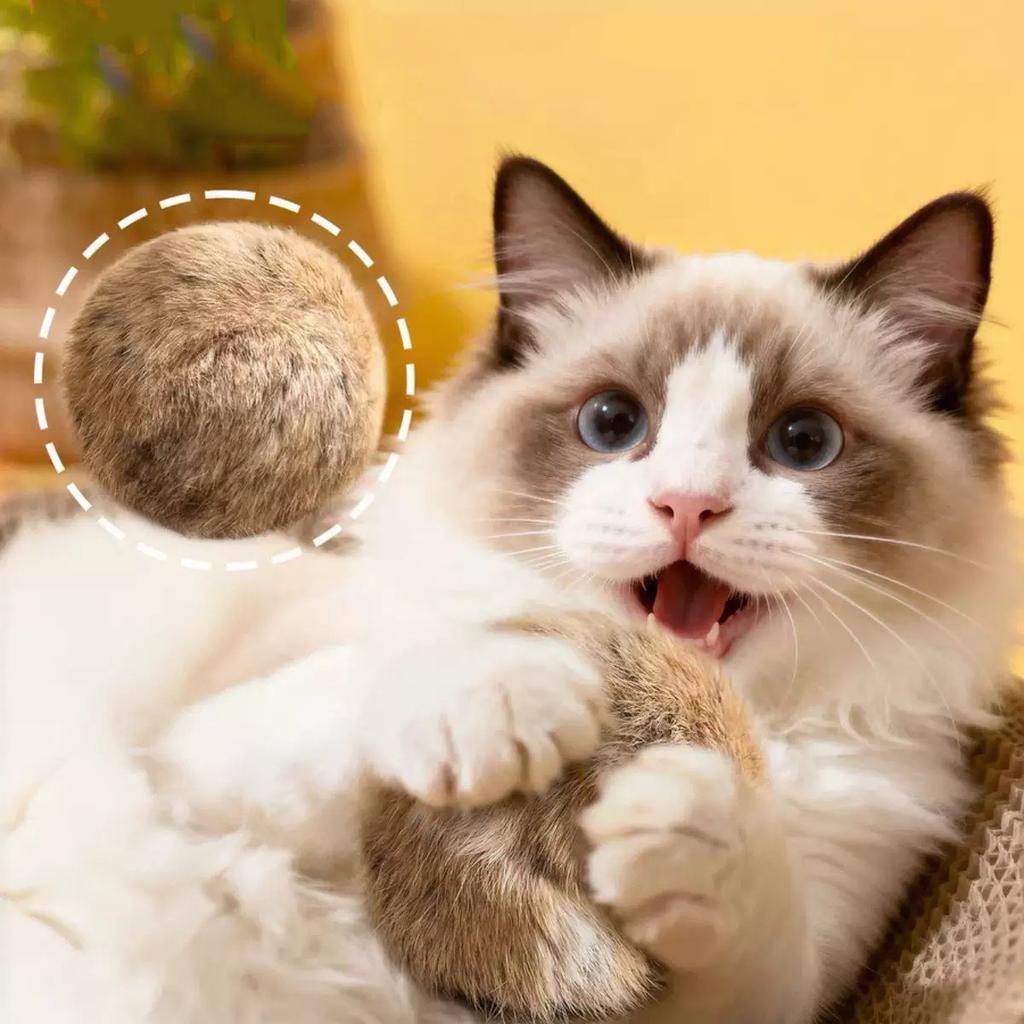 Игрушка для кошки шарик из кроличьего меха настоящий кроличий мех игривый шарик из меха кошки богатый и приятный запах для питомца нюхающий кошка игрушки-шарики из кроличьего меха