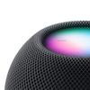 Apple Умная колонка HomePod mini (Китайская версия)