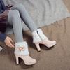 Women's Shoes 33--43 Large Size Boots Bow Short Boots Women's High-heeled Boots Autumn and Winter New Women's Boots