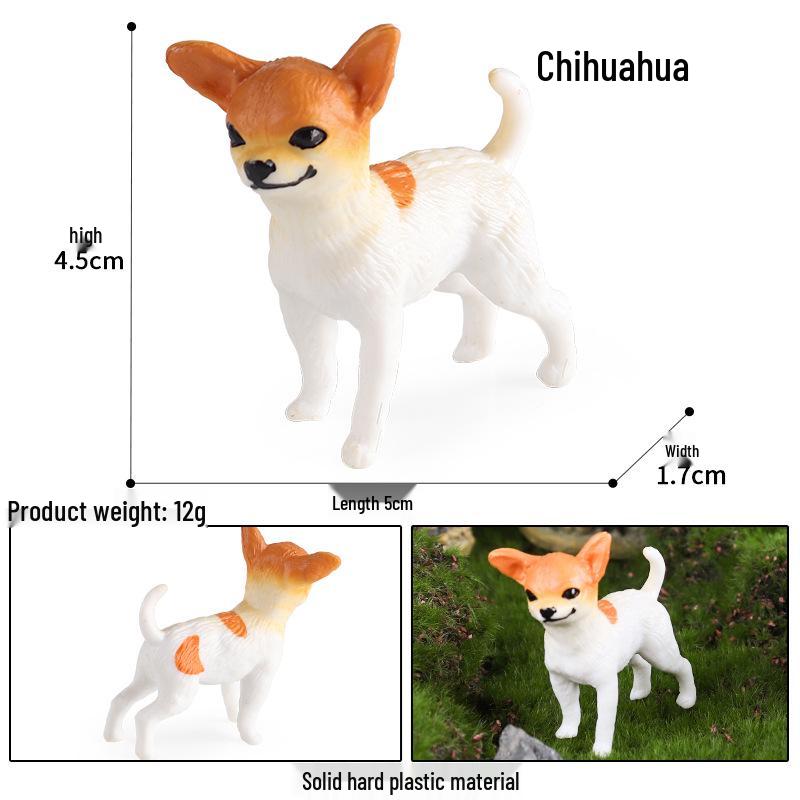 Cute Animal Models: Japanese Raccoon, Flying Squirrel, Monkey, Rabbit, Squirrel, Shiba Inu, Tiger, Lion, Lizard Toy Set