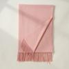 Imitation Cashmere Scarf Autumn and Winter New Solid Color Mid Length Warm Scarf Japanese and Korean Sweet Fashion Tassel Scarf
